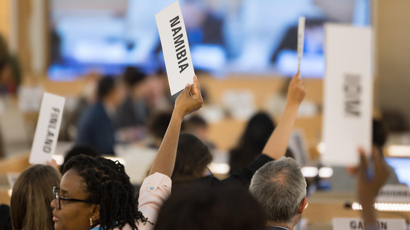 Woman holding up sign saying Namibia in a large meeting. WHA Namibia © World Health Organization/Pierre Albouy